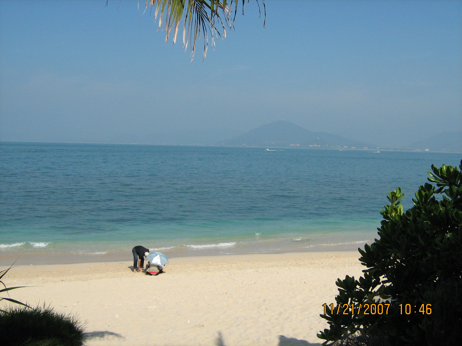 [IMG_2555.jpg]