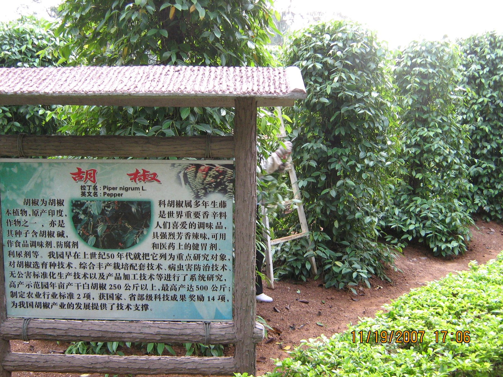 [IMG_0689.jpg]