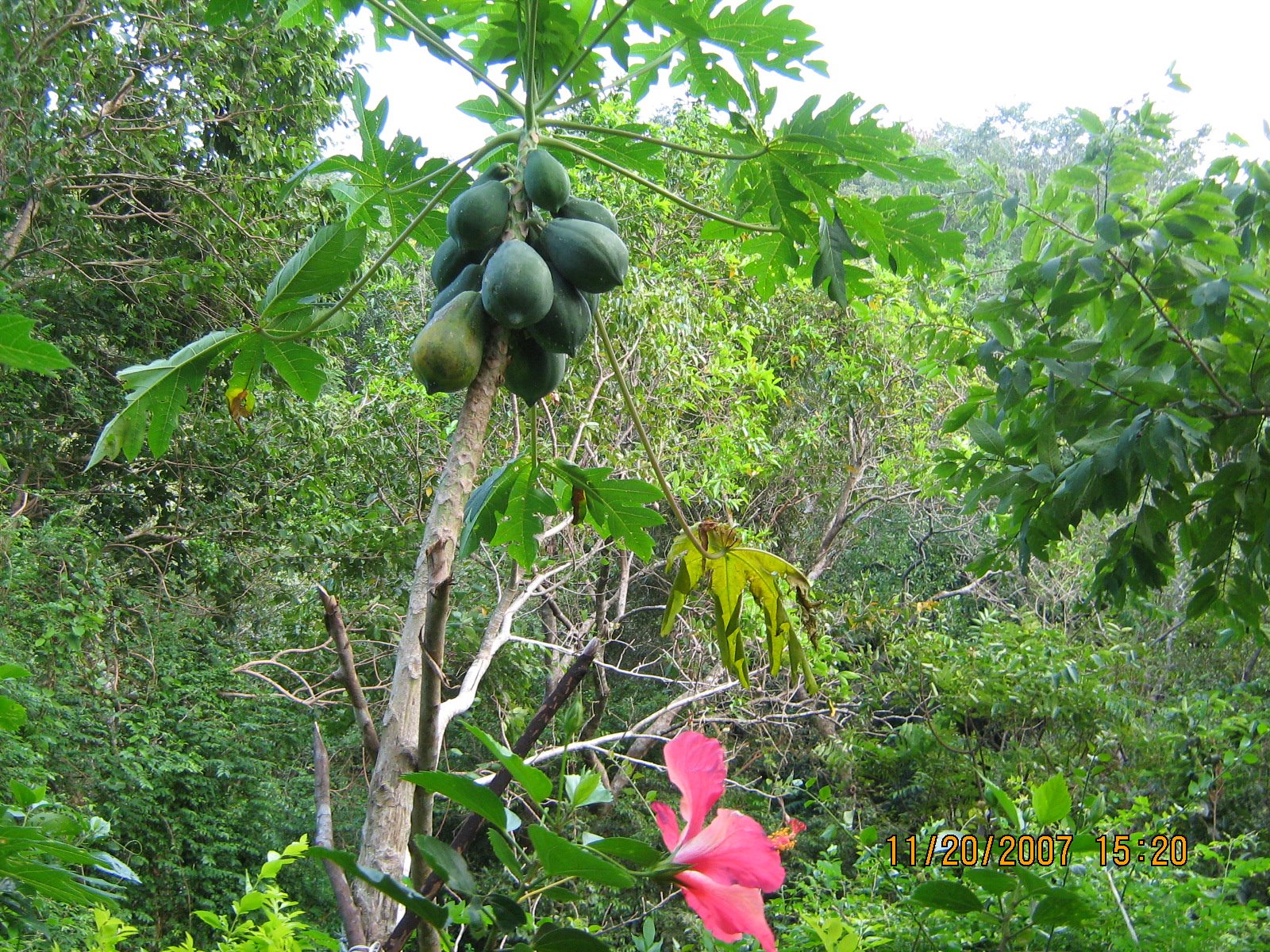 [IMG_2437.jpg]