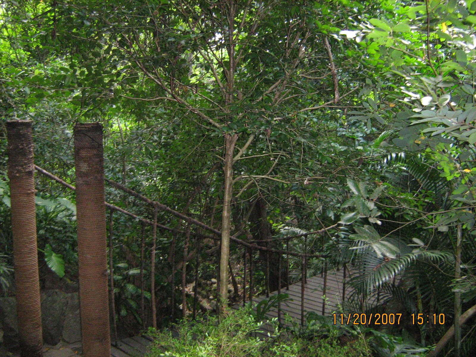 [IMG_2416.jpg]
