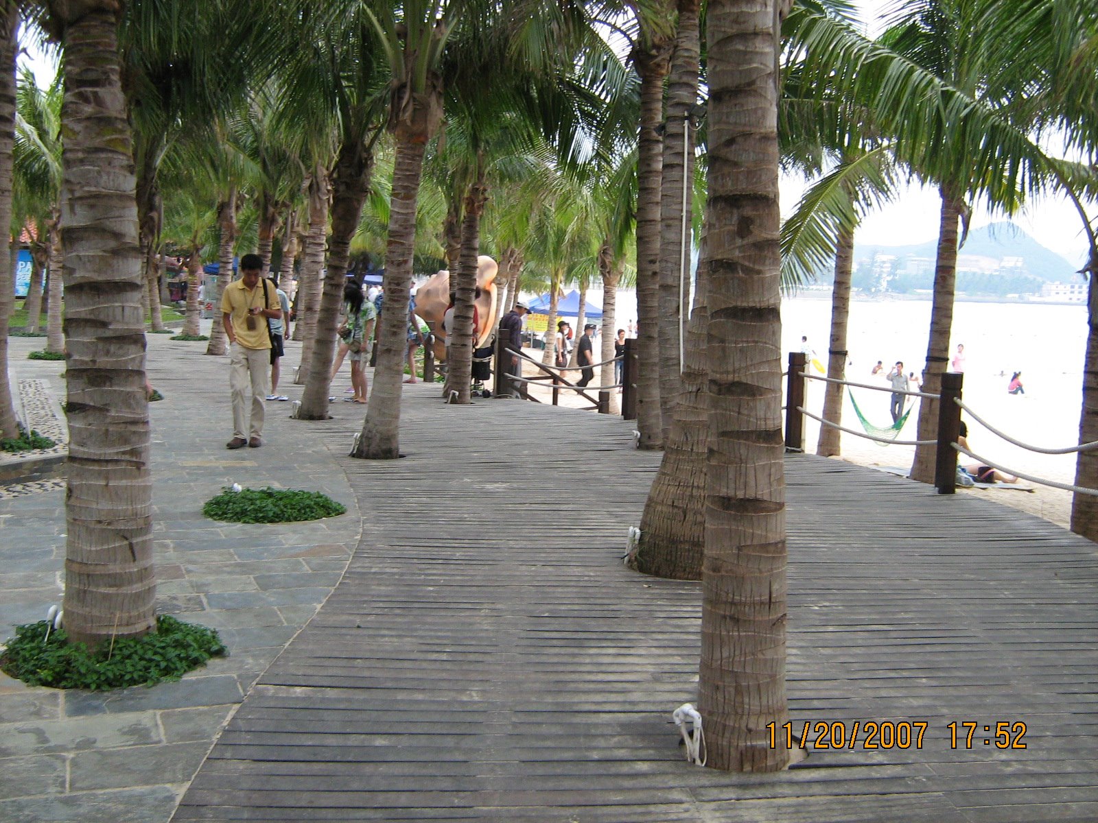 [IMG_2481.jpg]