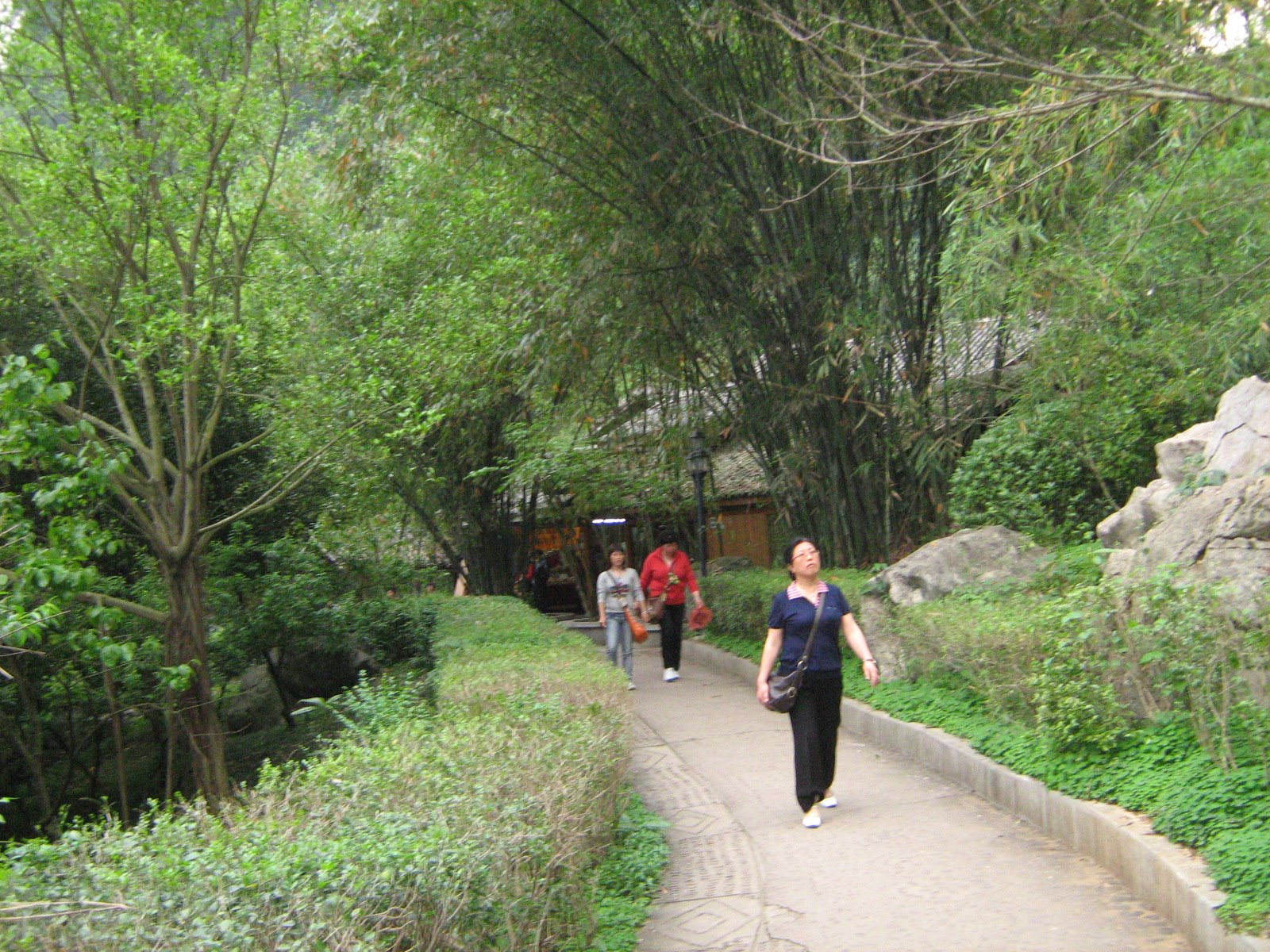 [ç…§ç‰‡+716.jpg]