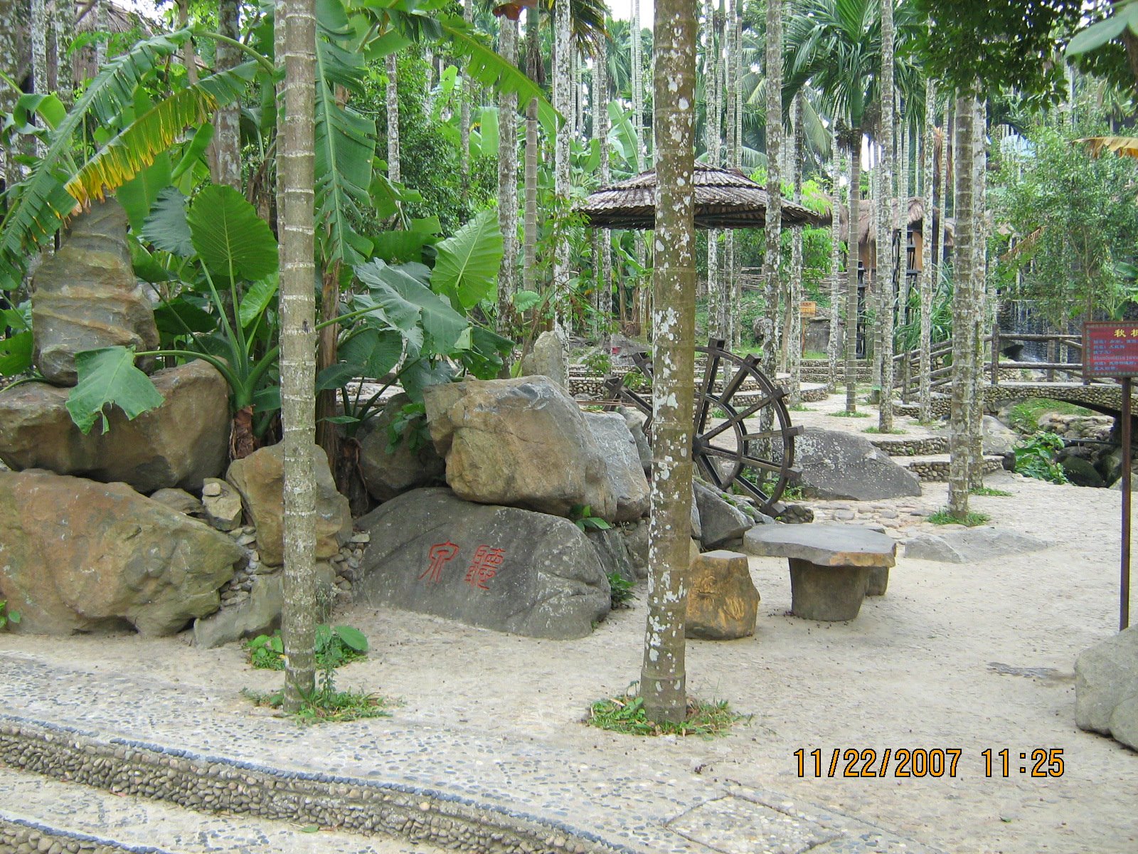 [IMG_2886.jpg]
