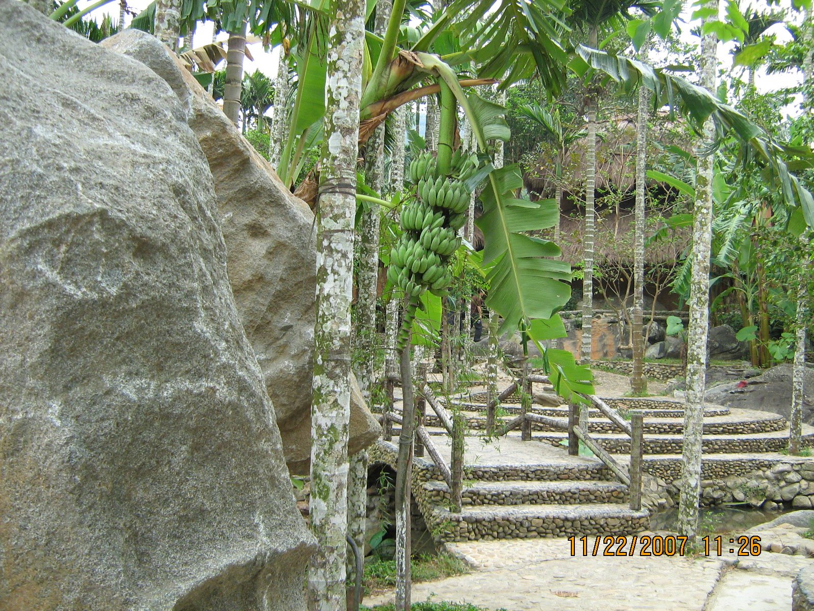 [IMG_2890.jpg]