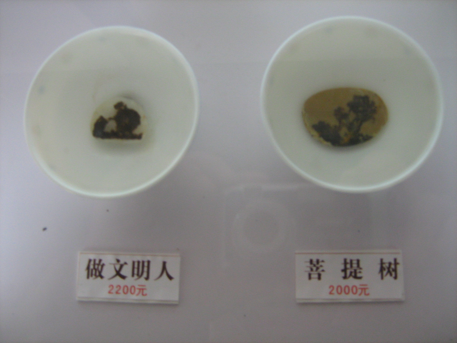 [ç…§ç‰‡+273.jpg]