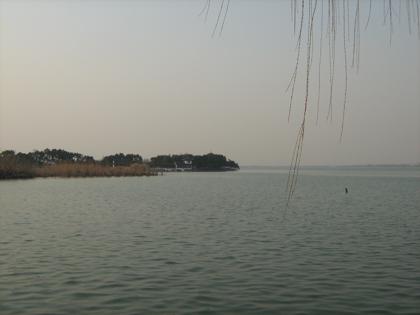[Picture+480.jpg]