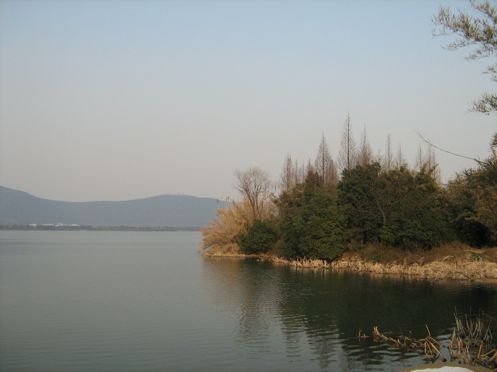 [Picture+489.jpg]