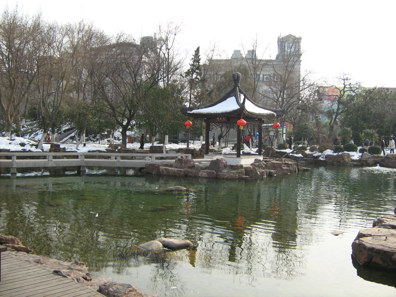 [Picture+285.jpg]