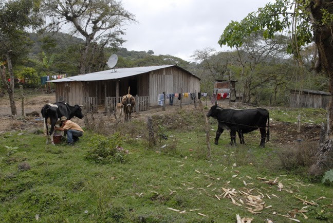 Personal Narrative: My Mission Trip To Nicaragua