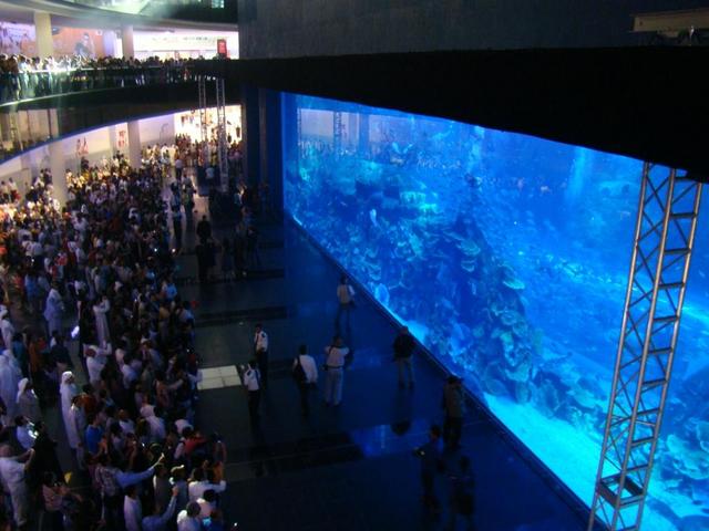Dubai+mall+aquarium