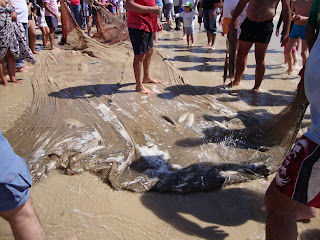 Foto Praia da vieira - Bela pescaria