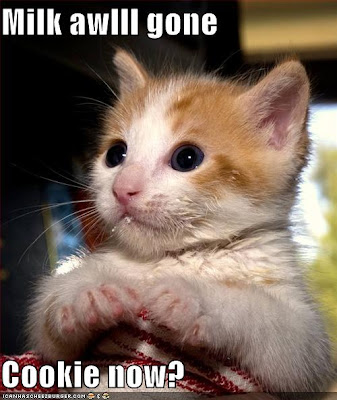 funny-pictures-kitten-finished-his-milk-and-wants-a-cookie.jpg