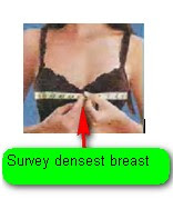 Women+breast+size+36