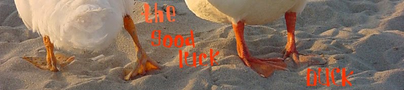 The Good Luck Duck