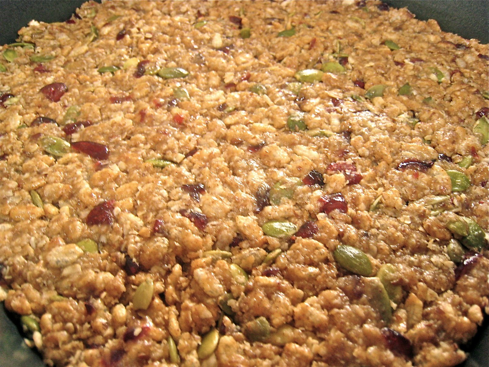 my nutritious dish no bake "clif" bars