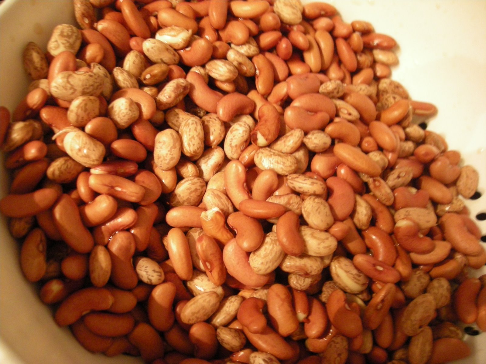 [beans+001.JPG]