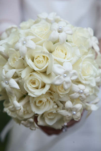 Wonderful Whites