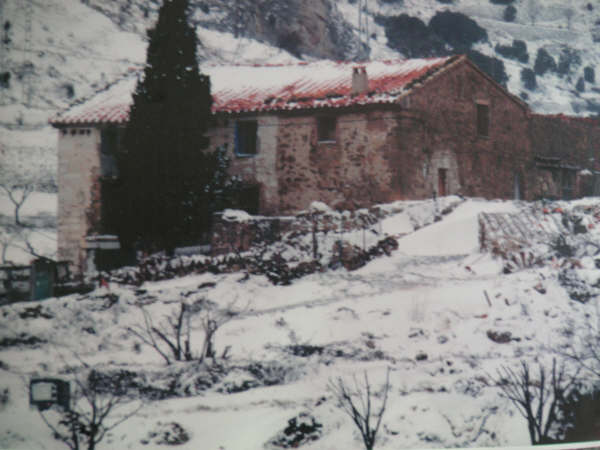 [PICT0006.JPG]
