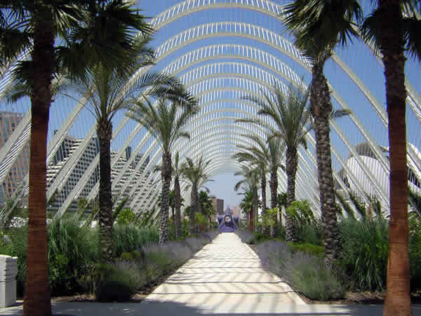 [Umbracle.jpg]