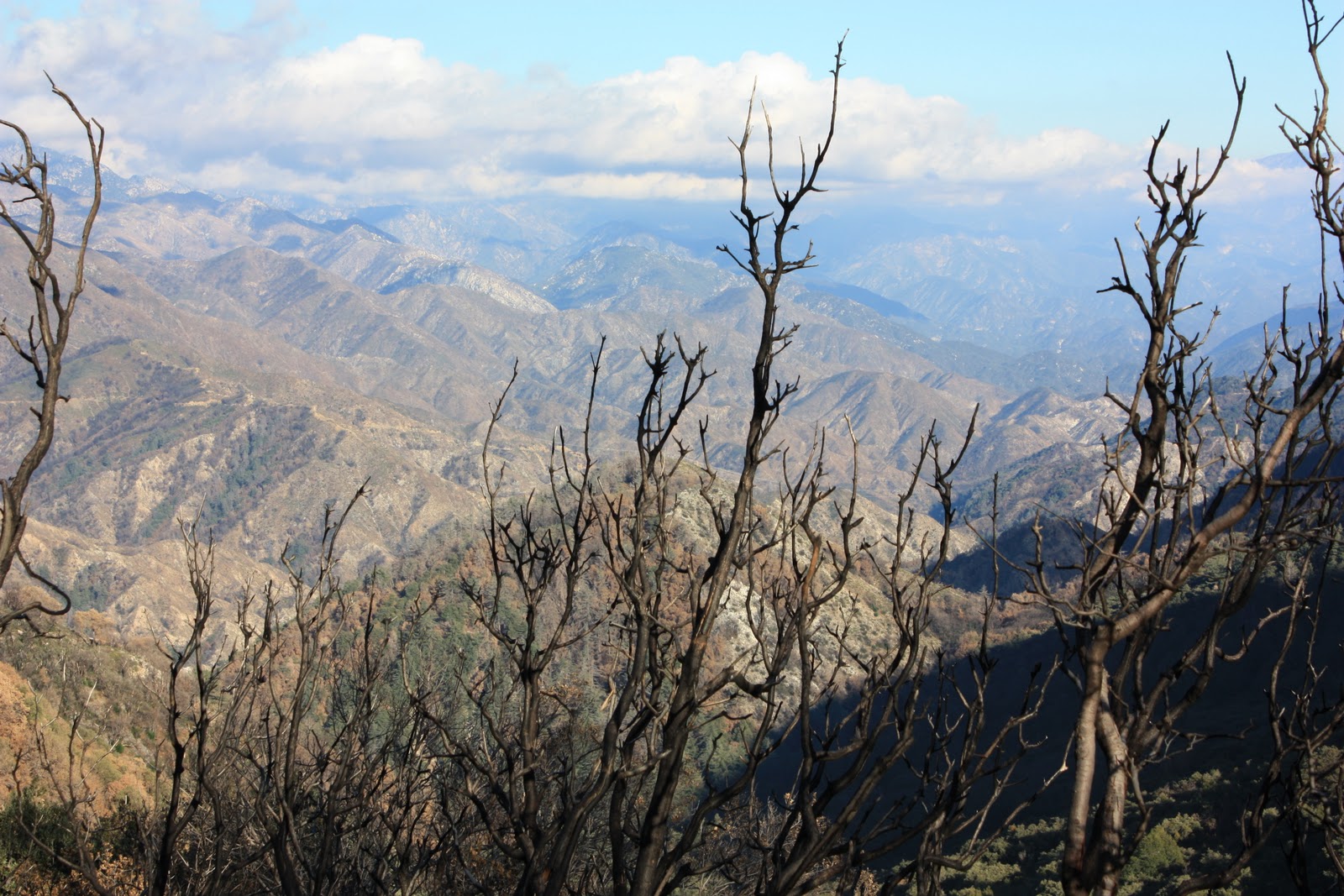 Kohuts Rving Adventures Soledad Canyon in Acton, CA (Oct 18 Nov 1st