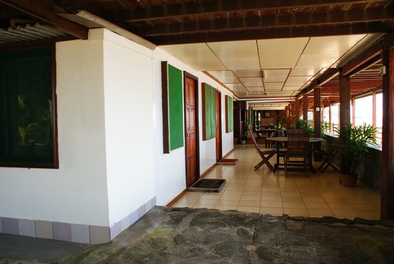 [DSC07982.JPG]