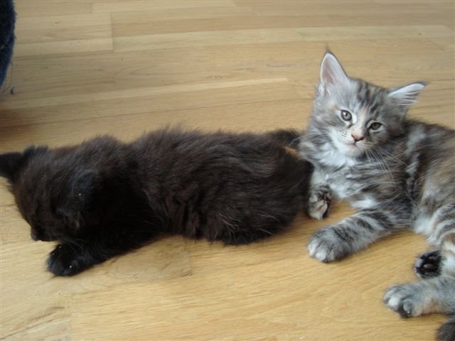 [DeeDeeMiles8sem.JPG]