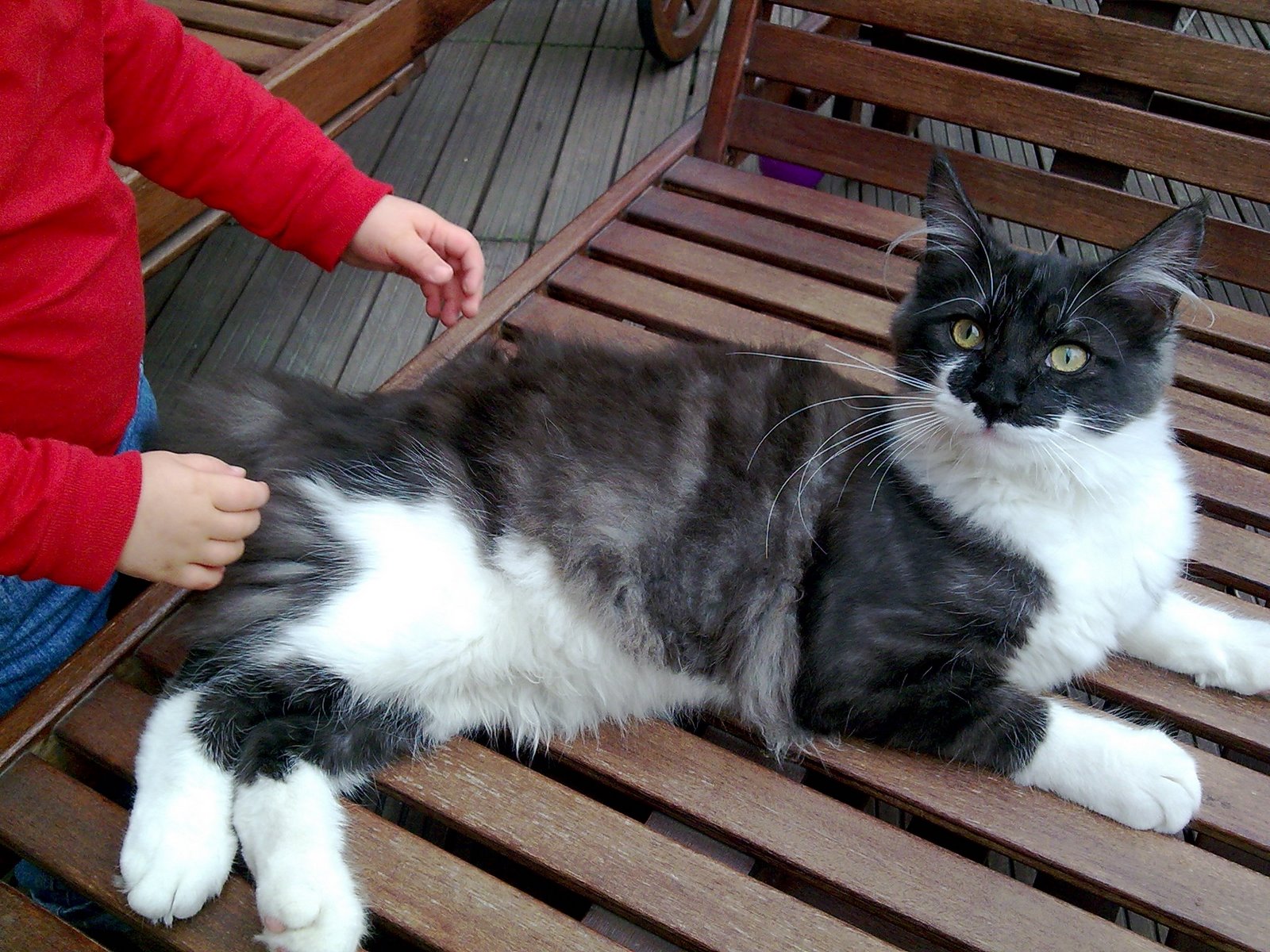 [Groucho10meses.JPG]