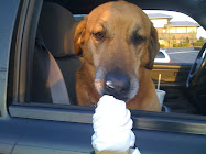 Abbie's Ice cream