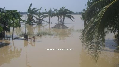 Flood in Carmay