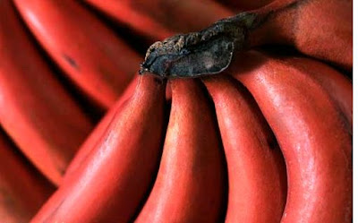 Red Banana