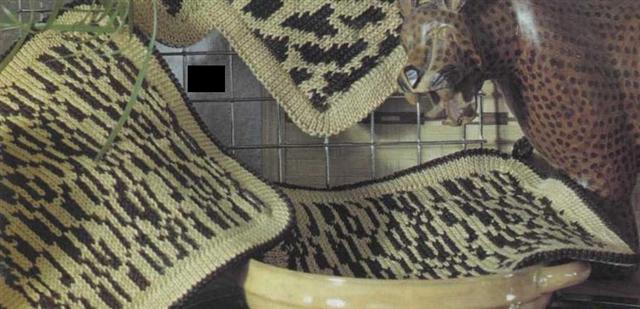 [1096365272117+(Small).jpg]