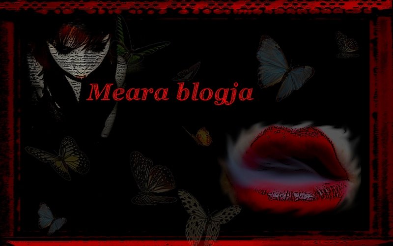 Meara blogja