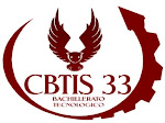 CBTIS 33