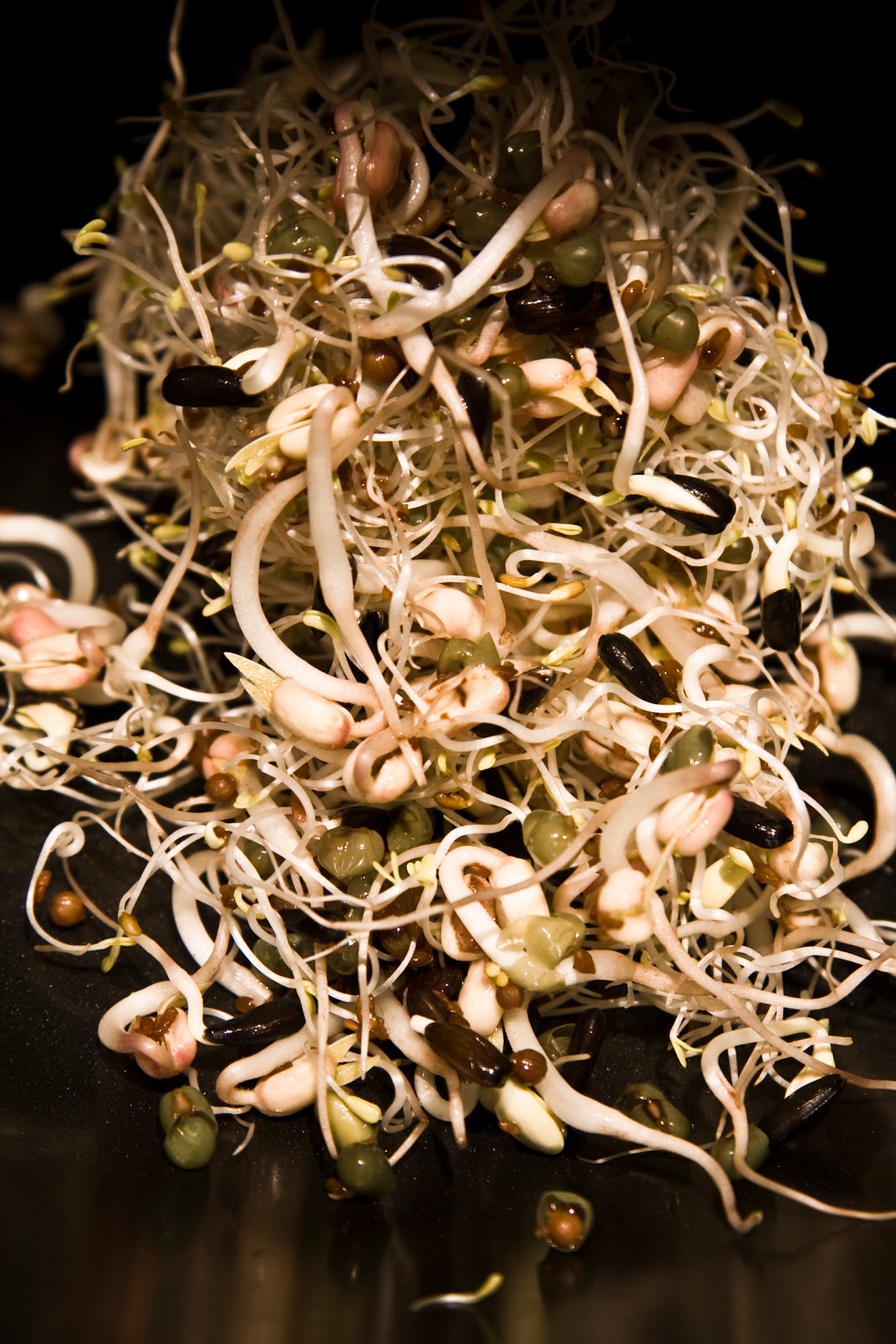 COOKBOOK: Qué hacer y como hacer los germinados