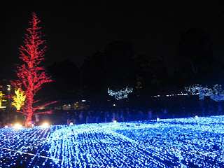 Katie in Tokyo: December 2010