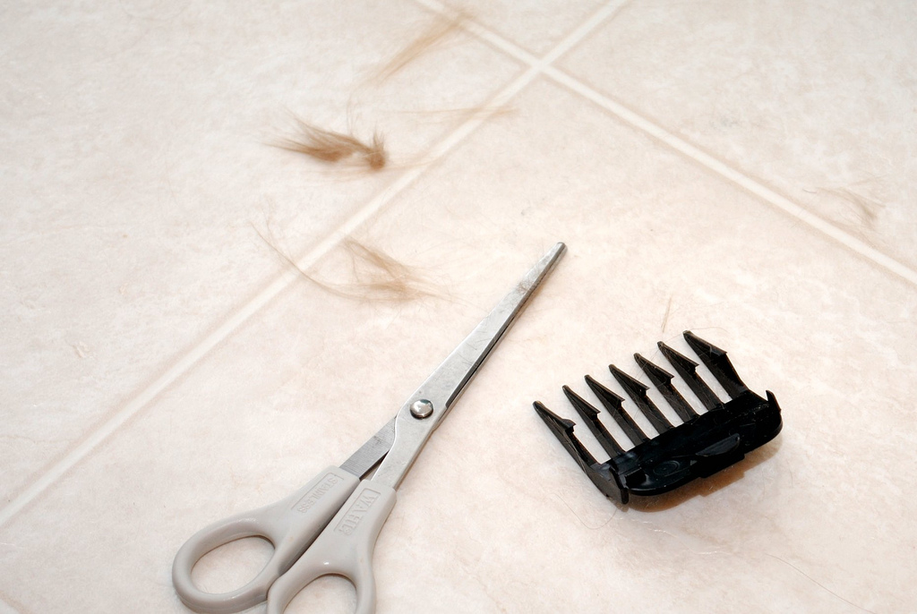 L to the third Shave and a haircut, two bits