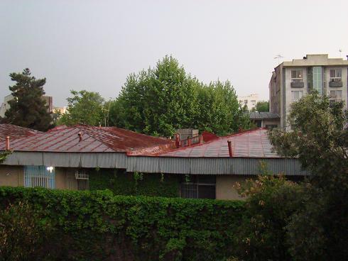 [baran.JPG]