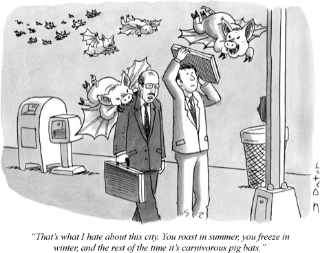 [070709_cartoon_5_a11781_p465.gif]