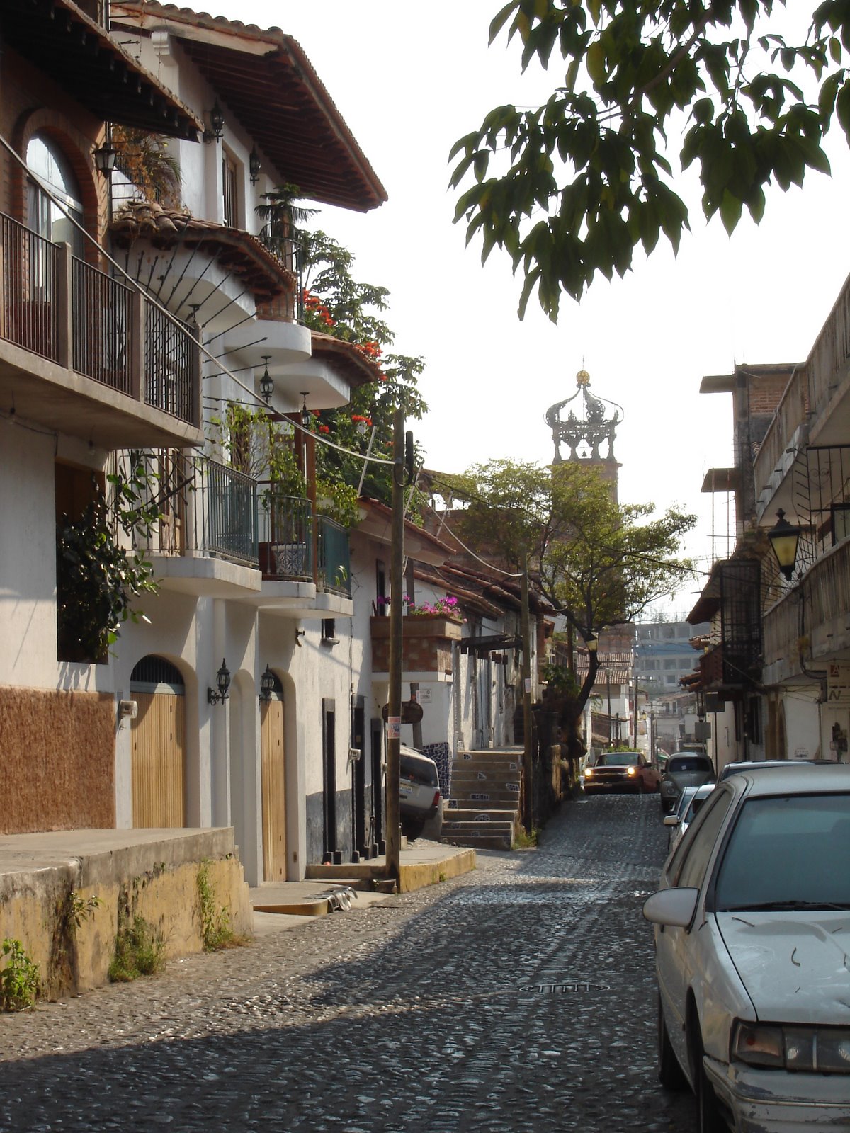 [DSC06325.JPG]