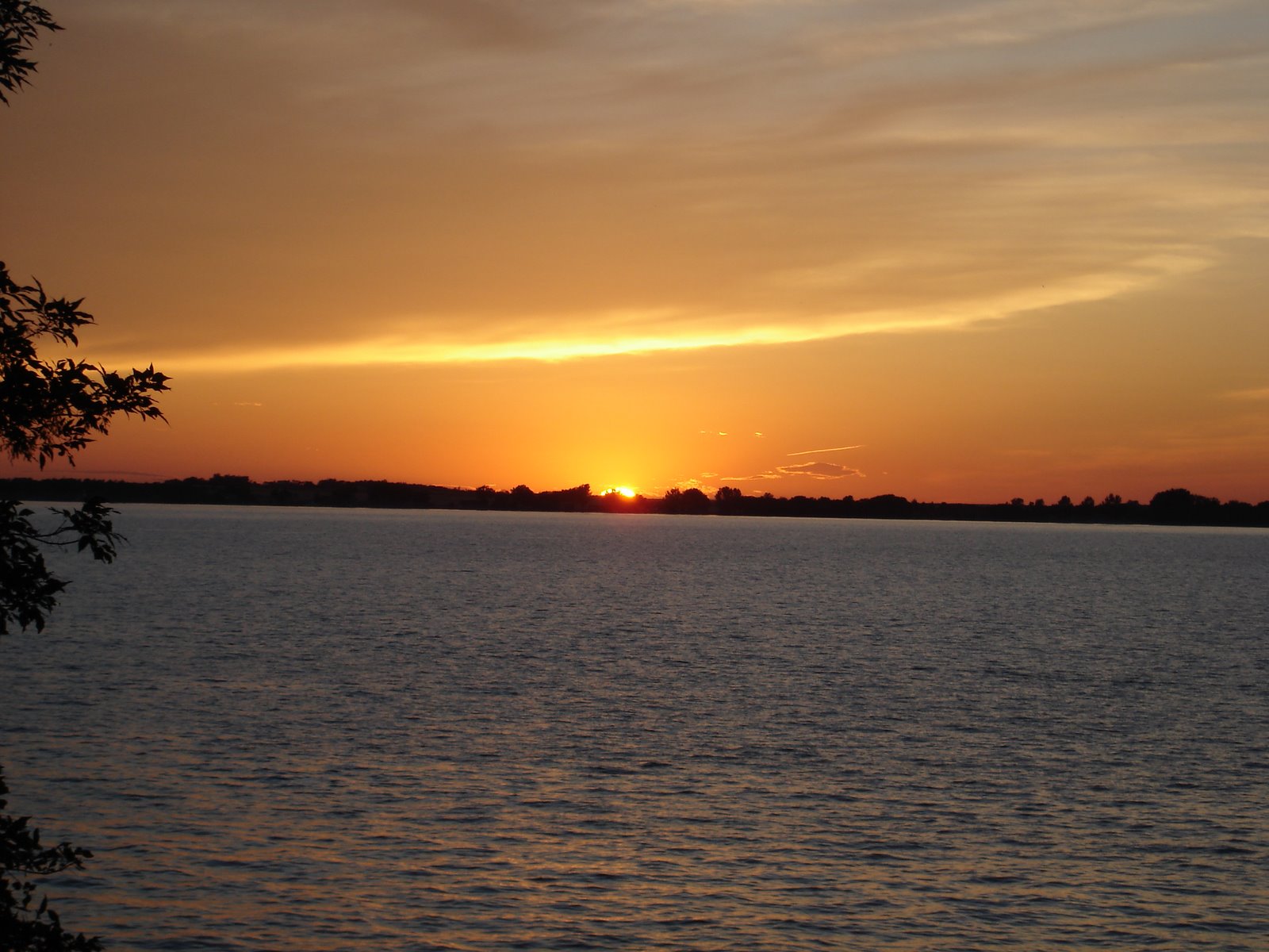 [DSC04875.JPG]