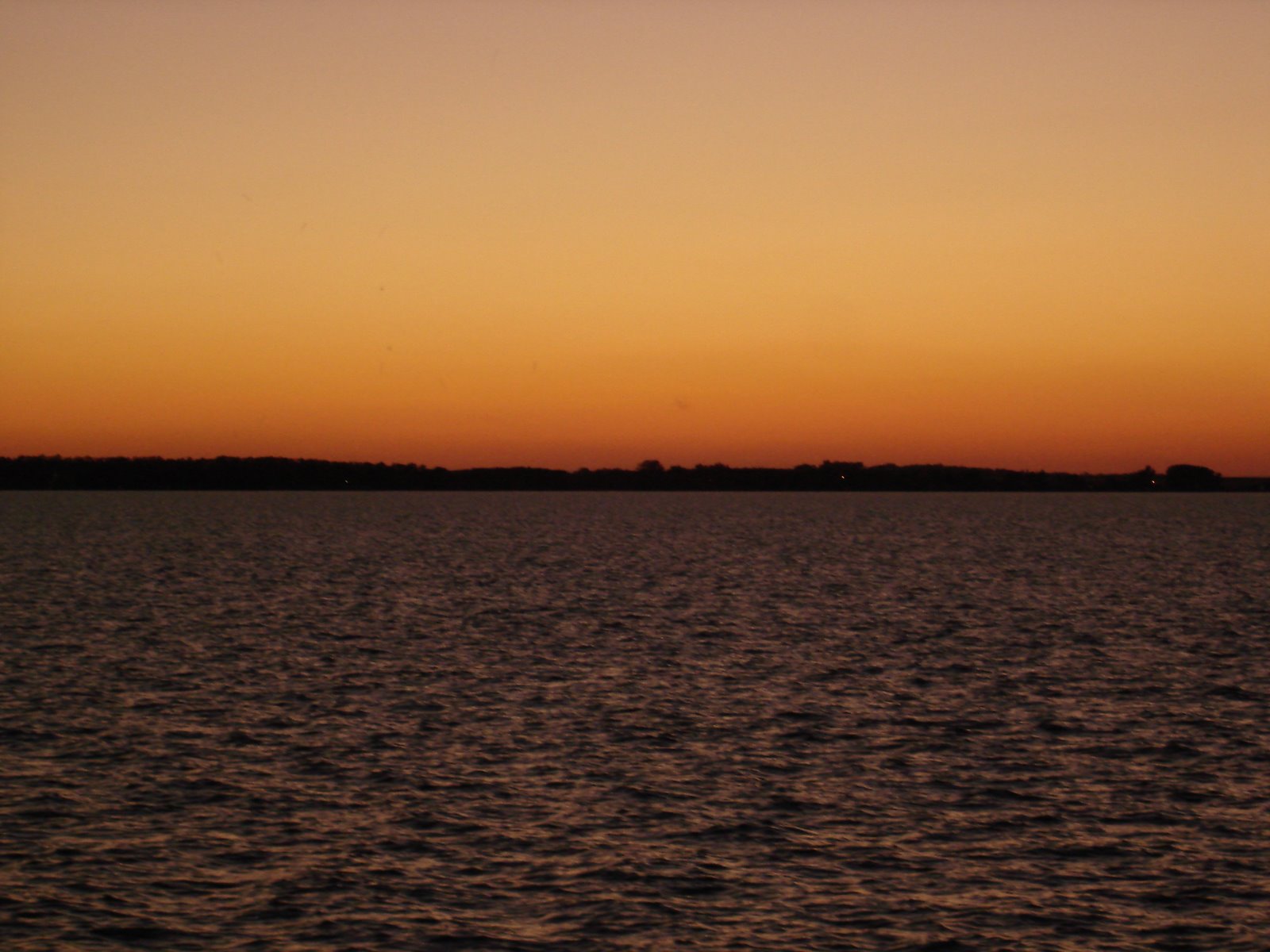 [DSC04881.JPG]