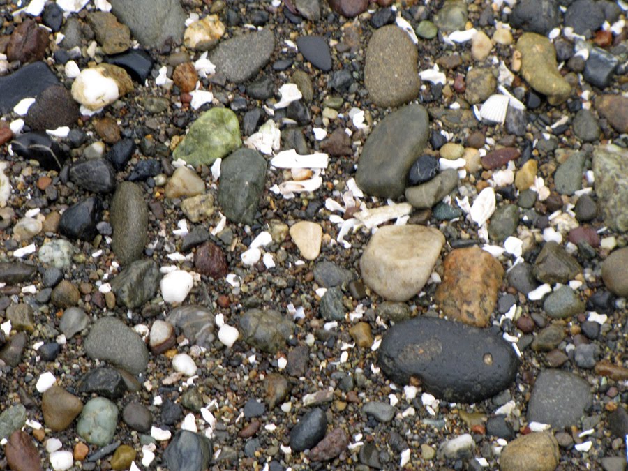 [Rocks+on+the+beach+one.jpg]