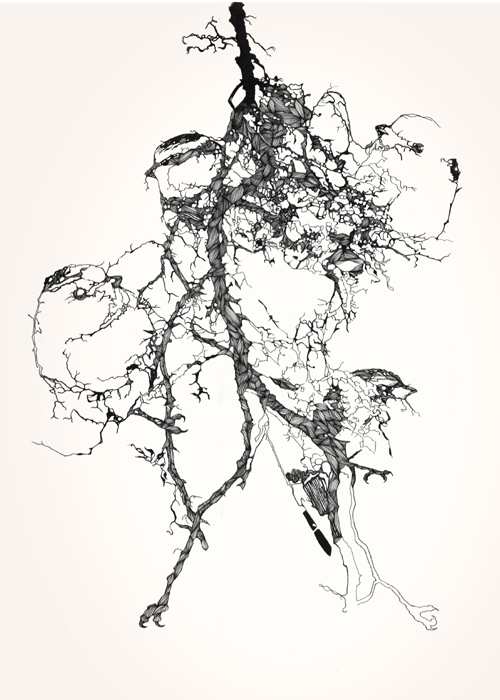 [drawn+(1).jpg]