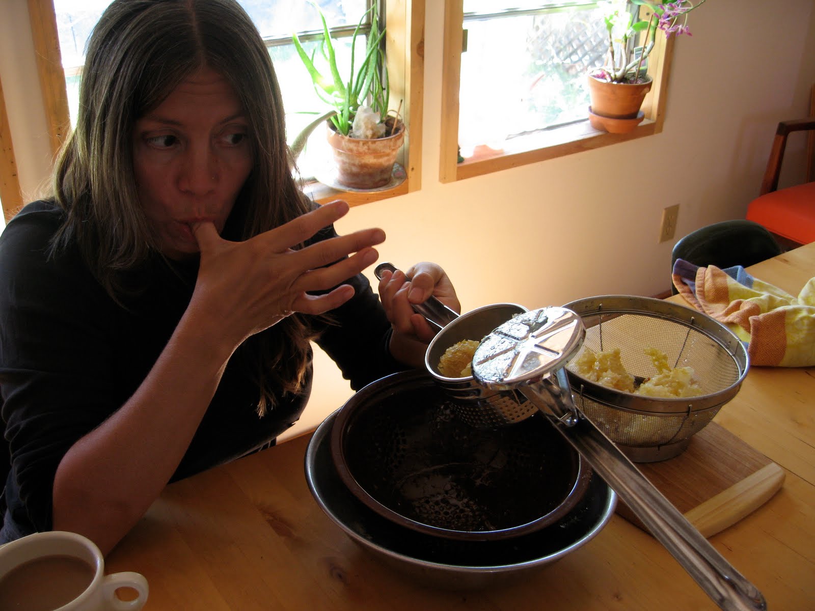 The Good Life Lab Separating Honey From Wax