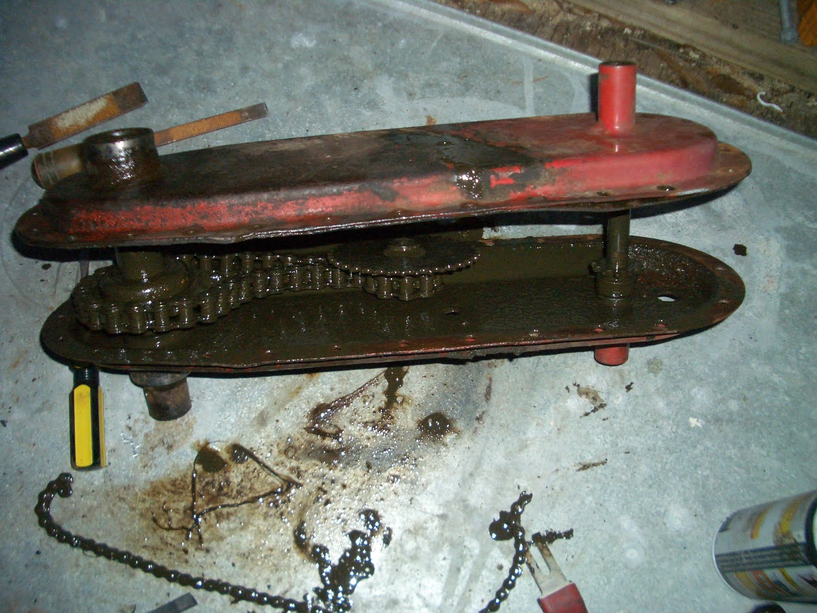 Swimming Cat Garden and Projects Merry Tiller or Not So Merry Tiller