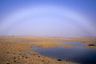 Fog Bow Over Tundra, Siberia