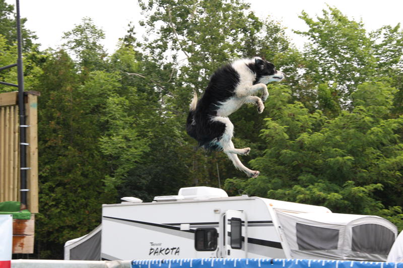 Bordering on Insanity 2010 Summer Sizzle ONTARIO DOCK DOGS!