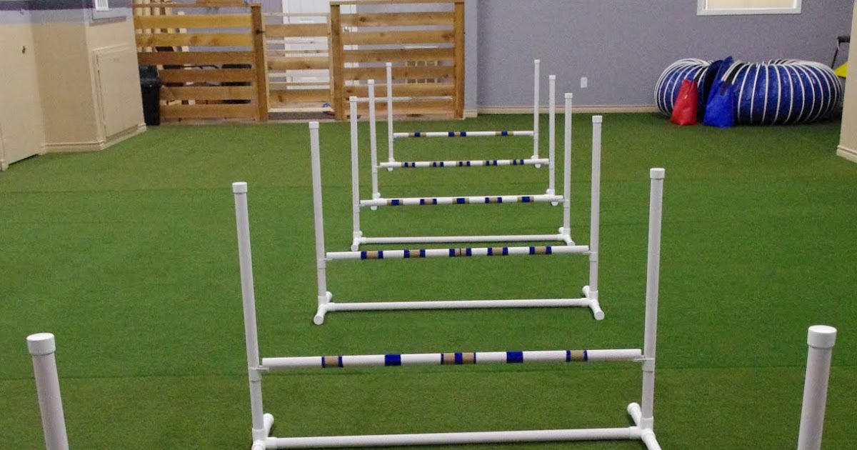 Dogs On Campus New Agility Equipment