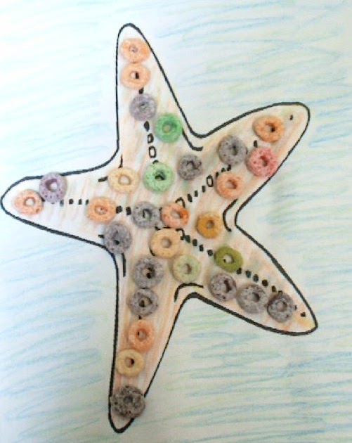 starfish 13s preschool