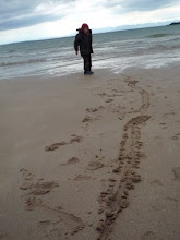 Fin at Big Sands Gairloch